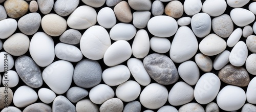 Several round, white stones are tightly packed together, creating a textured background. The rocks in various shapes and sizes are closely captured in this detailed image.