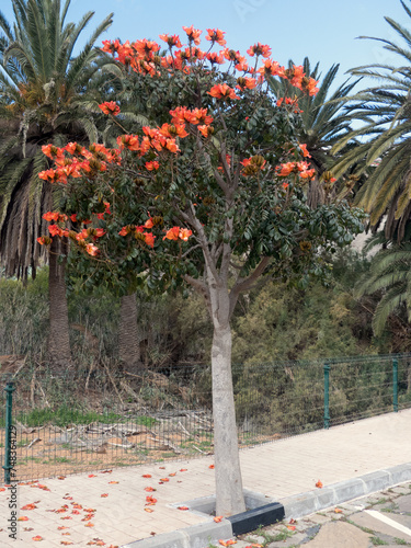 Fuertventura – Betancuria, ehemalige Hauptstadt von Fuerteventura