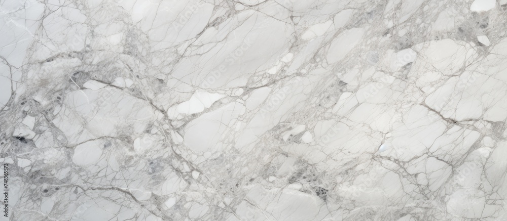This close-up view showcases the intricate details of a white marble texture, revealing the high resolution and Italian grey effect. This close-up view showcases the intricate details of a white marble texture, revealing the high resolution and Italian grey effect.