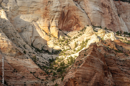 Sun Highlights The Detail In The Wall Of East Temple In Zion
