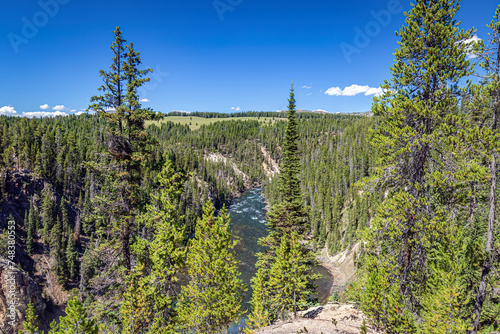 Yellowstone River and summer mountain landscape with an evergreen forest in Yellowstone National Park Wyoming, USA.