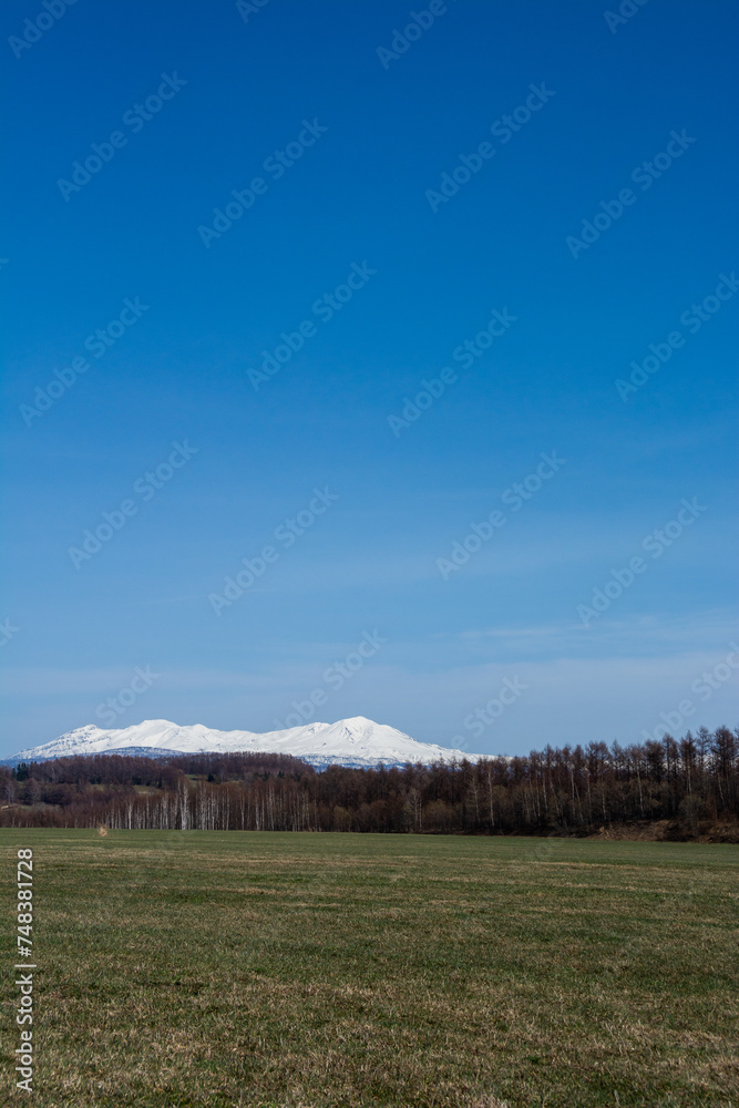 Fototapeta premium 春の晴れた日の牧草畑と雪山 大雪山 