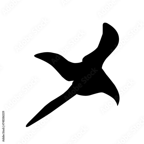 Vector Bird Silhouettes
