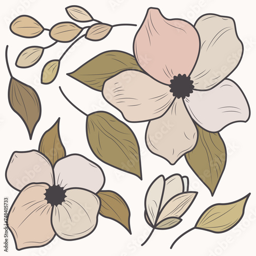 Set of orchid flowers and leaves in natural color tones