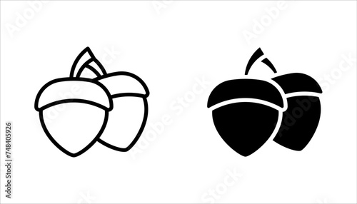 Acorn vector icons. Simple illustration set of acorn elements on white background photo