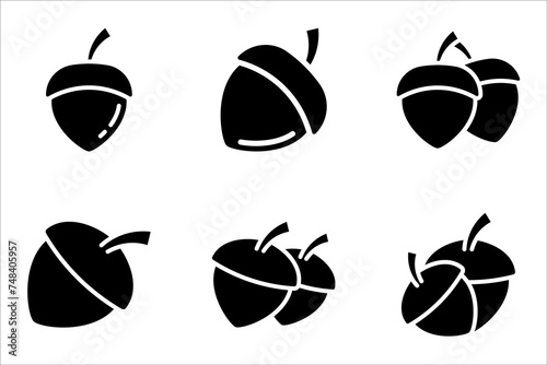Acorn vector icons. Simple illustration set of acorn elements on white background photo