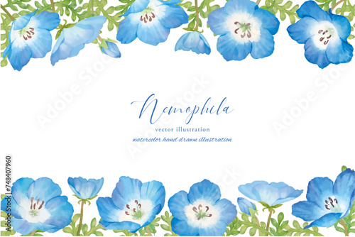 水彩風のネモフィラの花を装飾した正方形フレーム photo