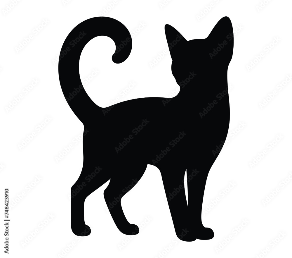 Abyssinian Cat. Vector image. White background.