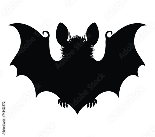 Vector, isolated silhouette of Aba Roundleaf Bat.