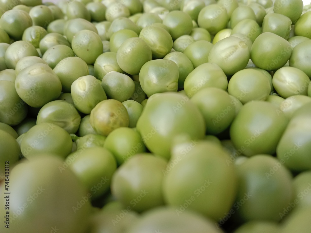 Grains or seed of Pisum sativum or pea grains or seeds or garden pea seeds or grains Grains or seed of Pisum sativum or pea grains or seeds or garden pea seeds or grains