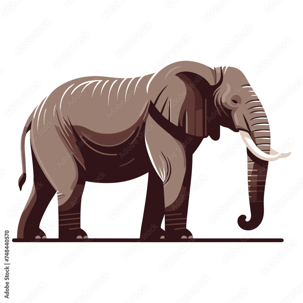 Elephant full body vector illustration, zoology illustration, African safari wild animal design template isolated on white background