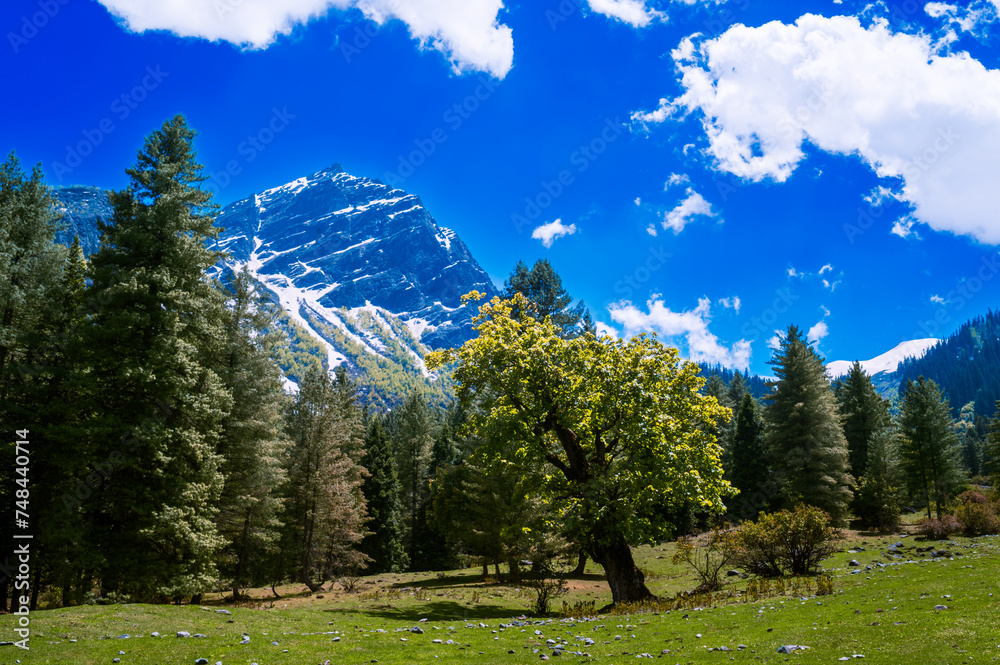 Landscape with sky and clouds. Spring rhododendrons and Himalayan peaks. View of Majestic Himalayan mountains in Parvati Valley, Himachal Pradesh, India.	