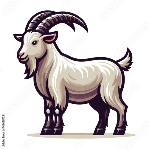 Goat full body vector illustration, farm pet, animal livestock, for butchery meat shop and dairy milk product, design template isolated on white background