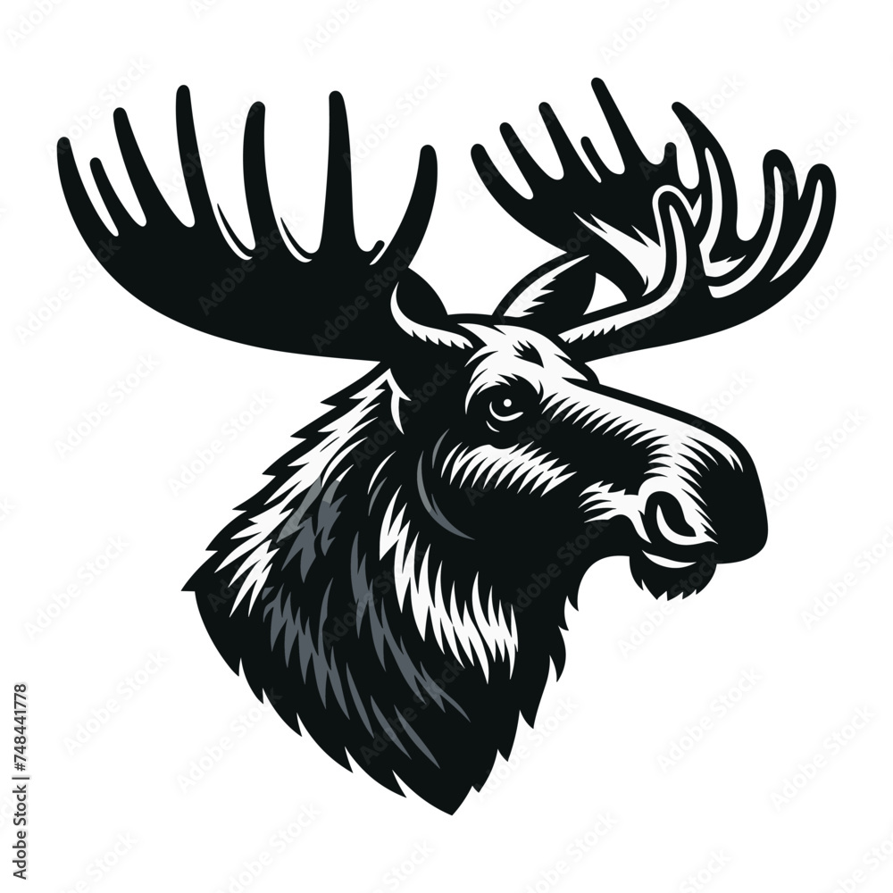 Moose buck elk head face vector illustration, zoology illustration ...