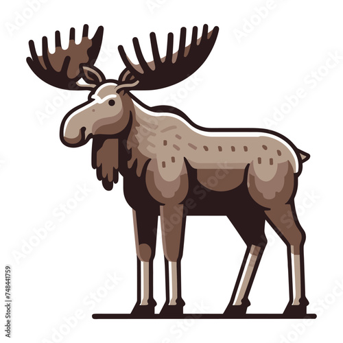 Moose buck elk full body vector illustration  zoology illustration  wild animal moose design template isolated on white background