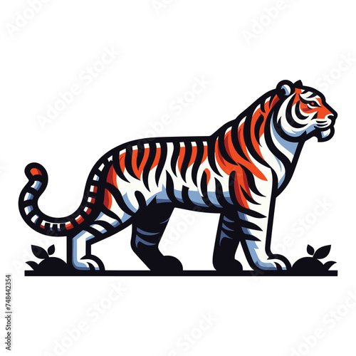 Wild tiger full body vector illustration, zoology illustration, animal predator big cat design template isolated on white background