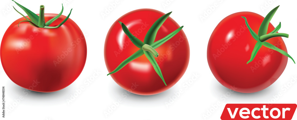 Ripe red 3 tomatoes set. Vector realistic isolate illustration. Ripe red 3 tomatoes set. Vector realistic isolate illustration.