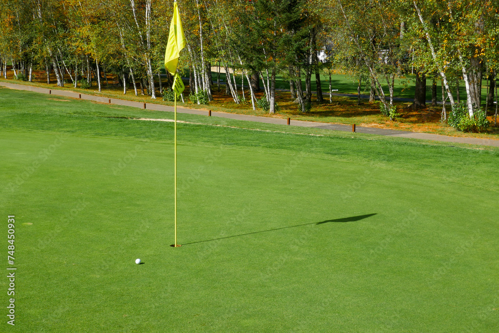 Fototapeta premium golf ball and flag on a green