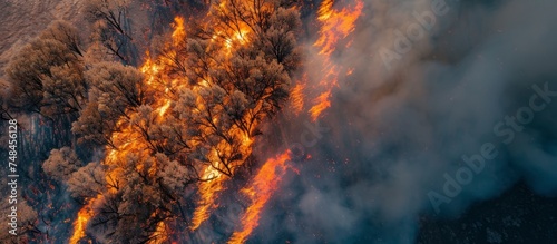 Devastating wildfire spreading through dense forest trees in blazing inferno