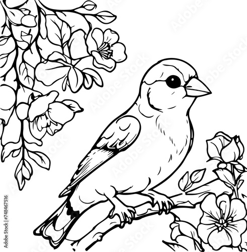Hand drawing coloring for kids and adults. Beautiful drawings with patterns and small details. Coloring pictures with bird in blooming tree branch, flowers. Vector © Mohd
