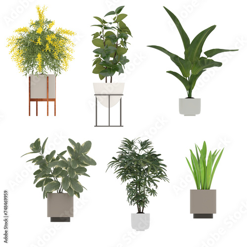 set of plants 3d PNG transparent elements 