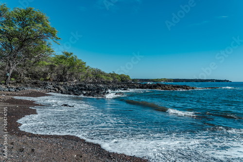  Kalua O Lapa lava and spatter deposits. Ahihi-Kinau Natural Area Reserve, Maui Hawaii. Neltuma pallida. Prosopis pallida is a species of mesquite tree.  La Perouse Bay. May‘s Trumpets


 photo
