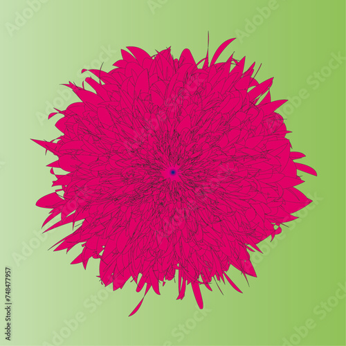 pink flower