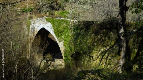 Moss and vine covered old Roman bridge across Navea river in Ourense Spain photo