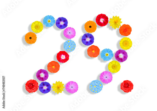 number  written on white background with colorful flowers, Graphic, Illustration photo