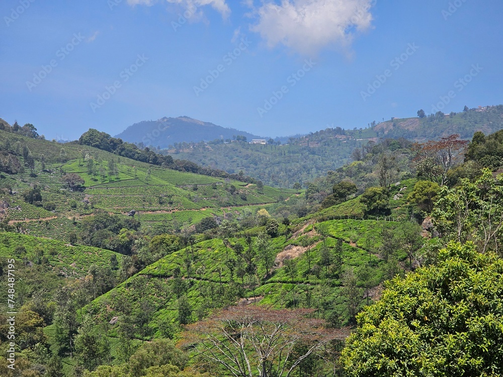 view of the valley of the mountains in coonoor, Tamil Nadu, India. 