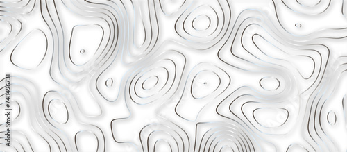 Abstract topographic contours 3d map background .topographic line texture background .monochrome image .stylized height of the topographic map contour in lines. 