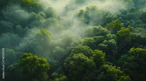 Early morning mist weaving through a dense forest, the trees emerging ghostly green, a scene of ethereal purity