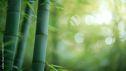 Close up of green bamboo forest background. generative ai 