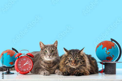 Cute cats with alarm clock ...