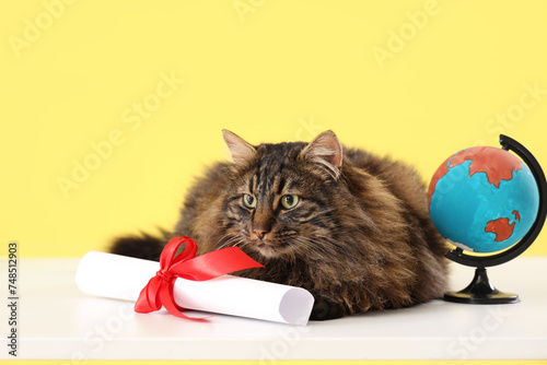 Cute cat with diploma and g...