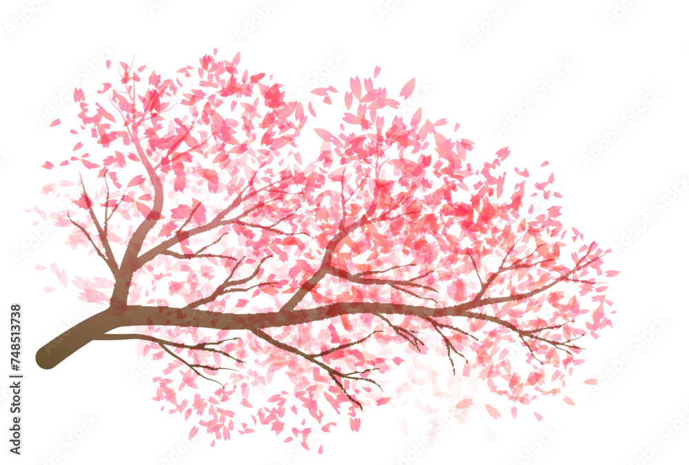 桜 和柄 水彩 アイコン 桜 和柄 水彩 アイコン