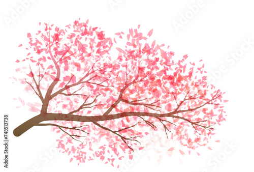桜　和柄　水彩　アイコン