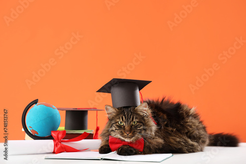 Cute cat with graduation ha...