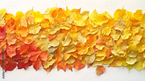 Yellow Leaves with Red and Orange Accents