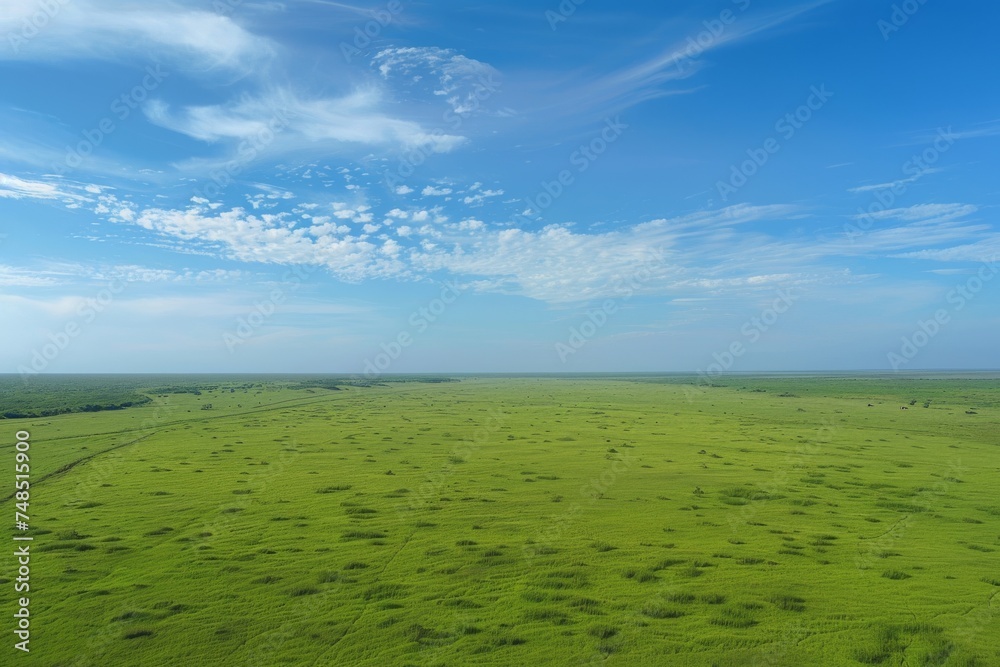 patchwork of emerald green fields unfolds beneath a clear blue sky, dotted with fluffy white clouds patchwork of emerald green fields unfolds beneath a clear blue sky, dotted with fluffy white clouds