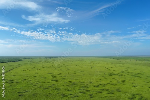 patchwork of emerald green fields unfolds beneath a clear blue sky  dotted with fluffy white clouds