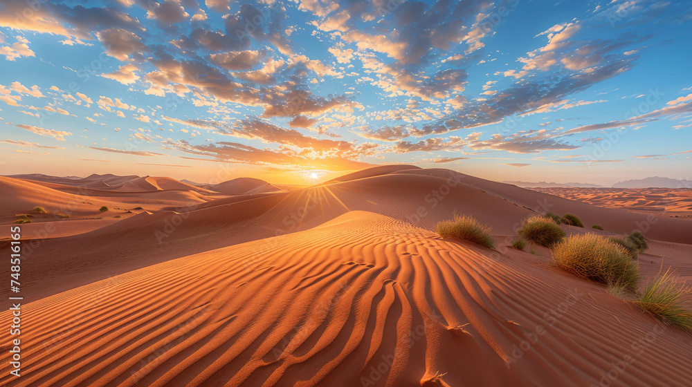Sunrise over sand dunes in desert background with copy space - obrazy, fototapety, plakaty 