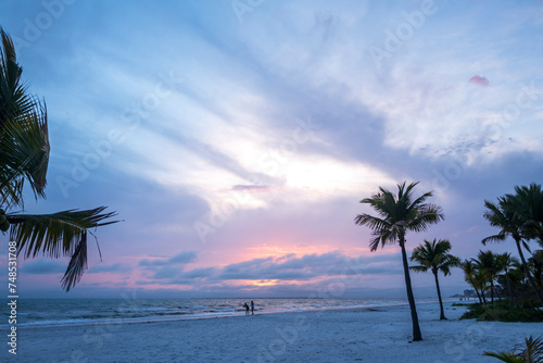 palm trees at sunset in Fort Myers Beach