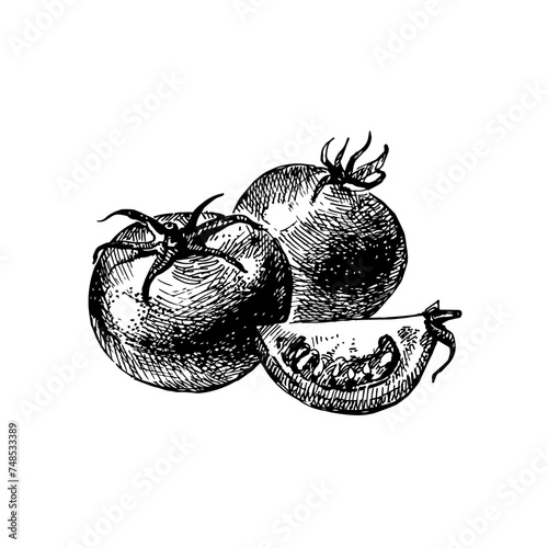 Hand drawn sketch vegetable tomato. Eco food.Vector vintage black and white illustration (ID: 748533389)