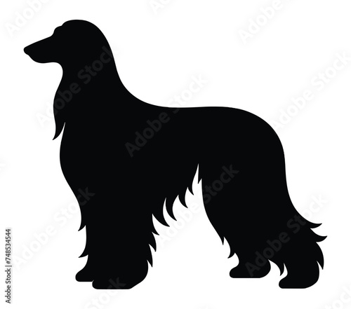 Afghan Hound Silhouette Stock Vector Illustration.