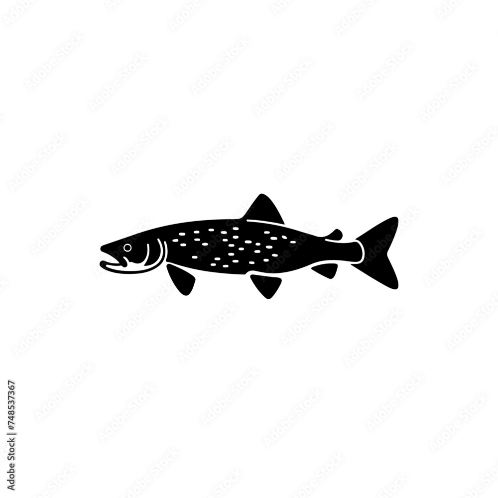 Fototapeta premium Pike Fish