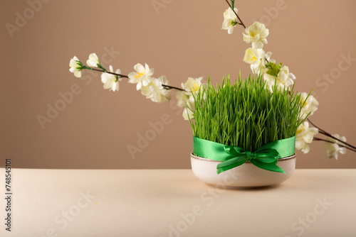 Fototapeta Naklejka Na Ścianę i Meble -  Novruz table setting with green samani wheat grass with satin ribbon and blooming flowers, spring or new year celebration in Azerbaijan, copy space