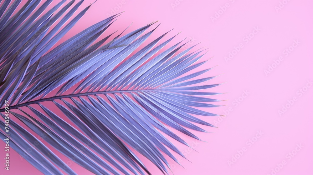 A palm tree with tropical leaves on a pink background with a place to copy text, an even layer of green tropical leaves. The concept of recreation, tourism, and sea travel. A palm tree with tropical leaves on a pink background with a place to copy text, an even layer of green tropical leaves. The concept of recreation, tourism, and sea travel.
