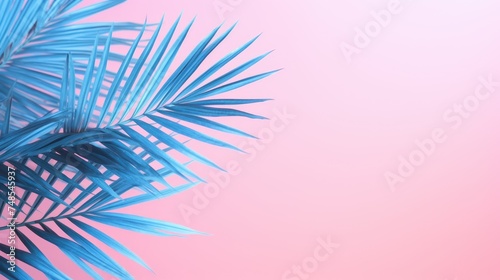 A palm tree with tropical leaves on a pink background with a place to copy text, an even layer of green tropical leaves. The concept of recreation, tourism, and sea travel.