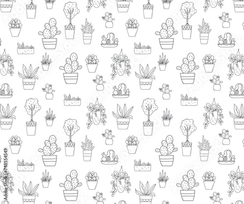 Vector doodle Seamless pattern linear domestic plants. Botanical doodles illustration. Urban jungle. Hobby trendy gardening. 